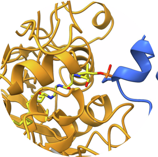 Chemical Biology